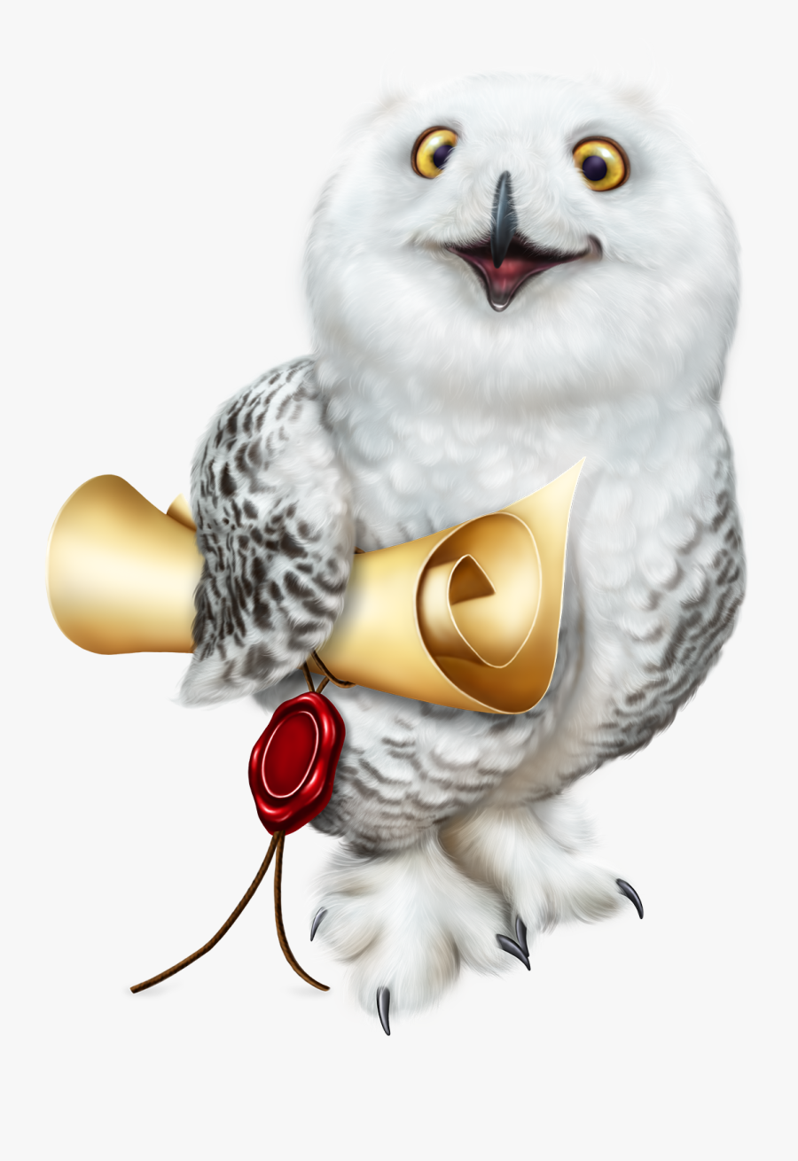 Cartoon Harry Potter Owl , Free Transparent Clipart - ClipartKey