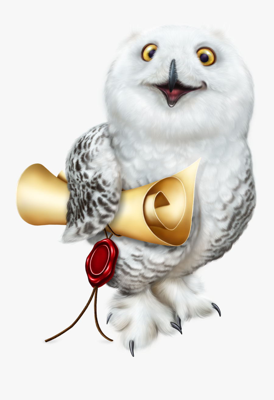 Cartoon Harry Potter Owl, Transparent Clipart