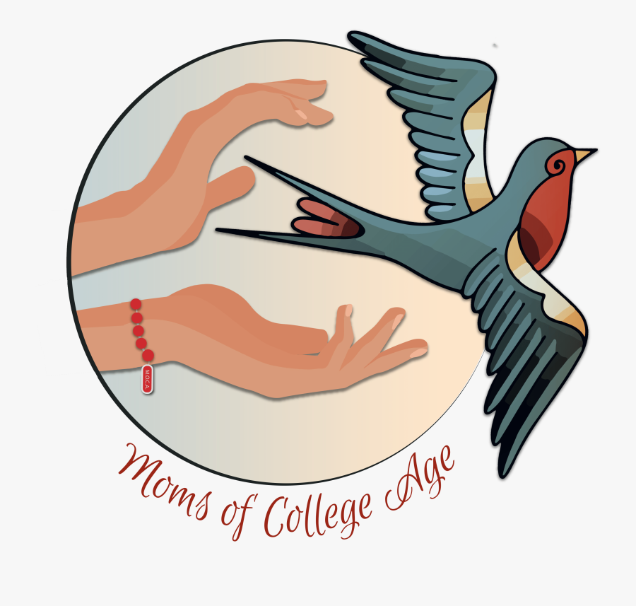 European Swallow, Transparent Clipart