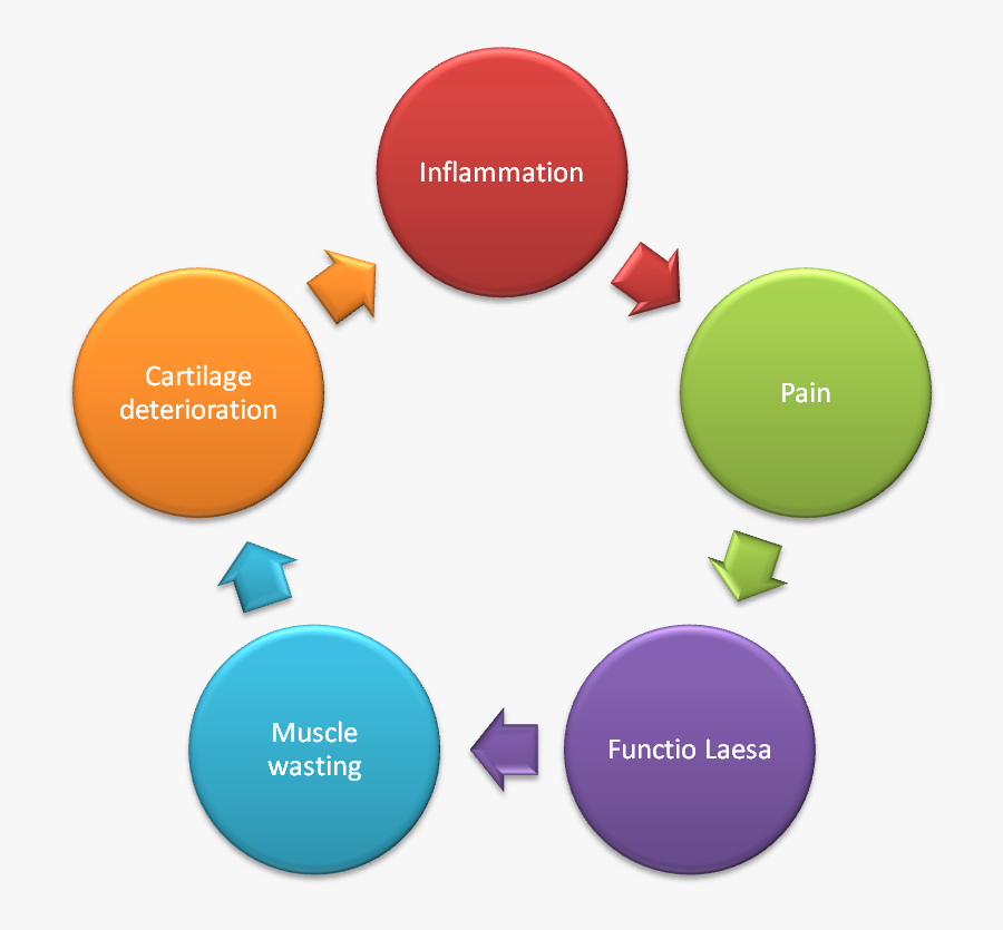 Six Sigma, Transparent Clipart