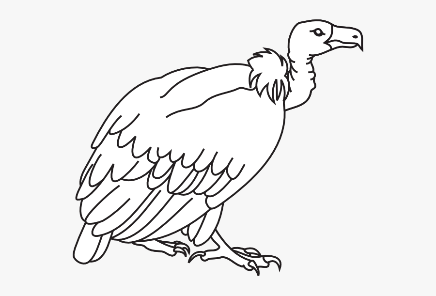 Transparent Vacuum Clipart Black And White - Vulture Black And White, Transparent Clipart