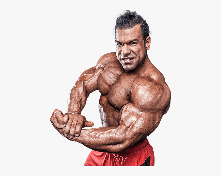 Bodybuilding Png - Athlete Bodybuilding Png, Transparent Clipart