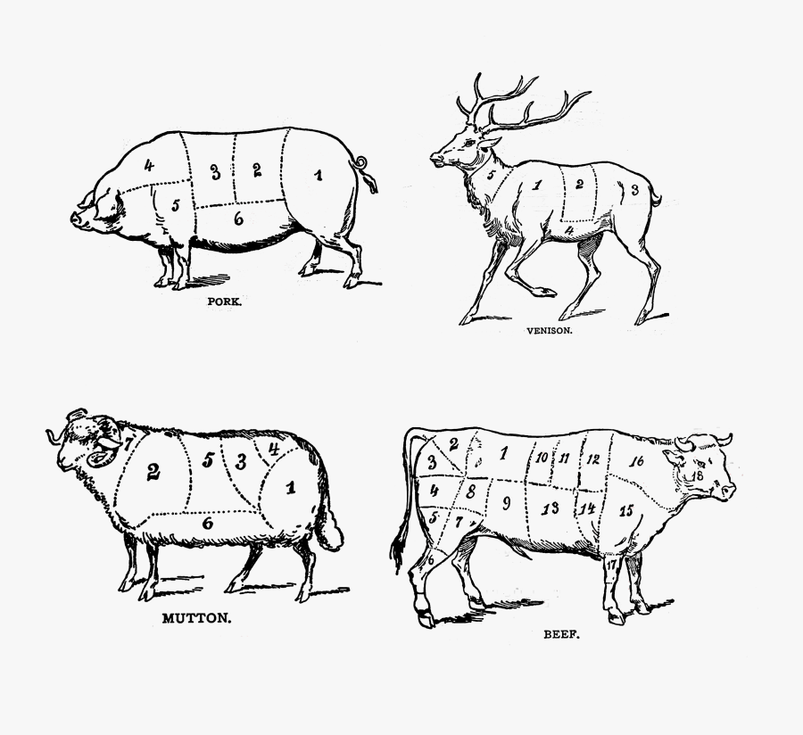 Outline Vintage Butcher Printables, Transparent Clipart