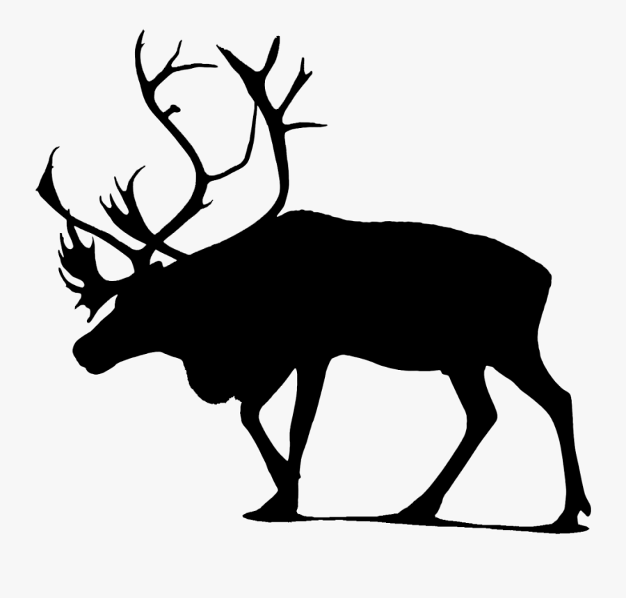 Moose Vector Graphics Stock Photography Stock Illustration - Vector Graphics, Transparent Clipart