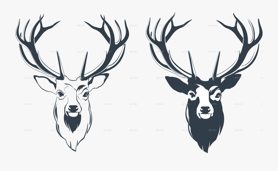 Male Red Deer Head By Sabina S Graphicriver - Head Deer Vector Png, Transparent Clipart