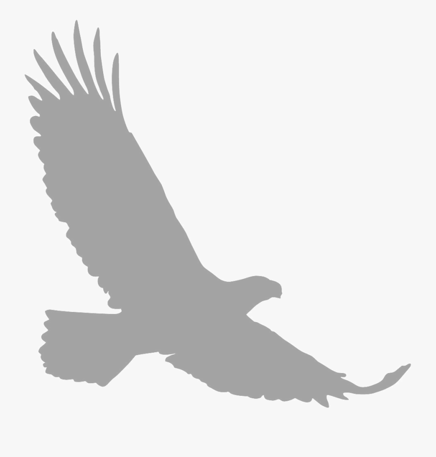 Bald Eagle Silhouette Clip Art - Wedge Tail Eagle Silhouette, Transparent Clipart
