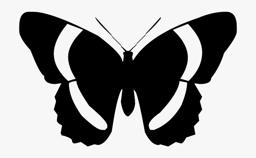 Butterfly Silhouette Clip Art - White Background Butterfly Images Hd, Transparent Clipart