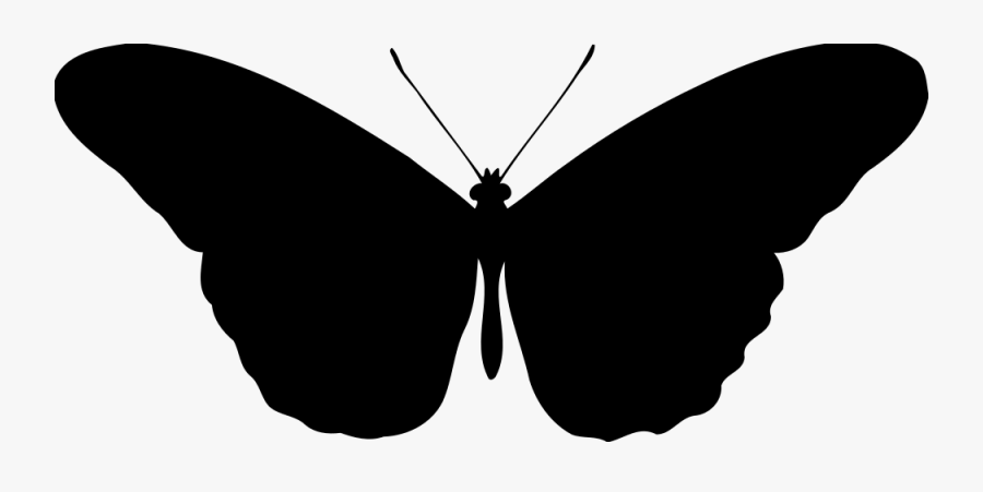 Butterfly 15 Silhouette - Black And White Silhouette Butterfly Clipart, Transparent Clipart