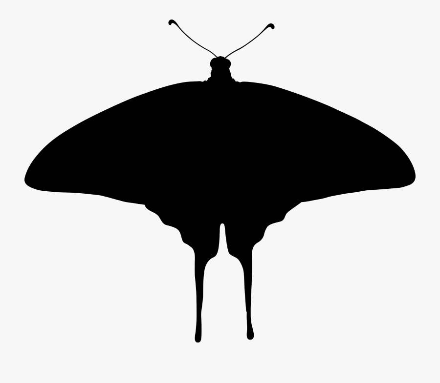 Butterfly Silhouette 8 Clip Arts - Butterfly, Transparent Clipart