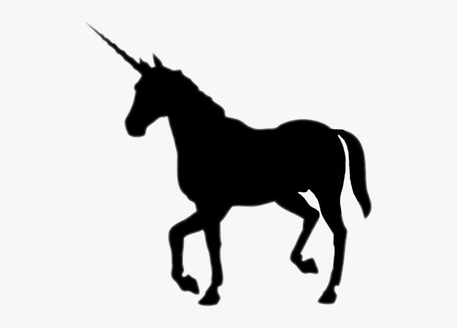 Unicorn Unicorns Blackunicorn Black Interesting Art - Black Unicorn, Transparent Clipart