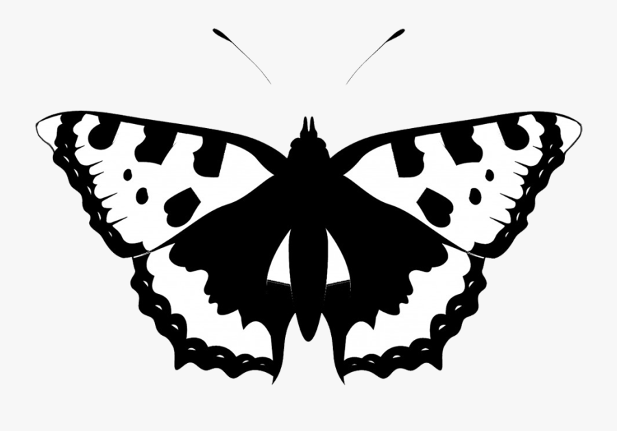 Clip Art, Transparent Clipart