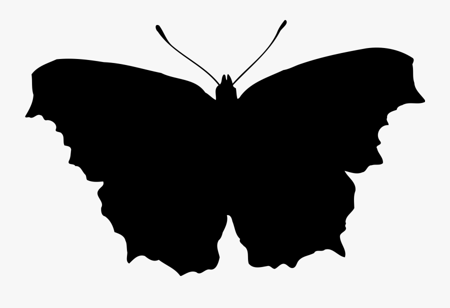 Butterfly Silhouette - Butterfly Silhouette Gif, Transparent Clipart