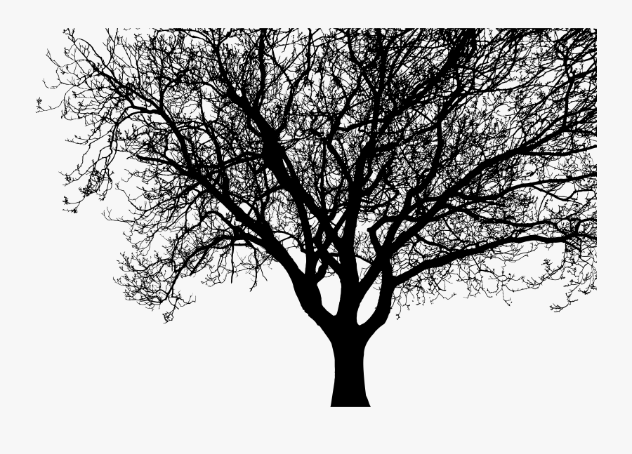 Detailed Tree Silhouette Clip Arts - Silhouette Tree, Transparent Clipart