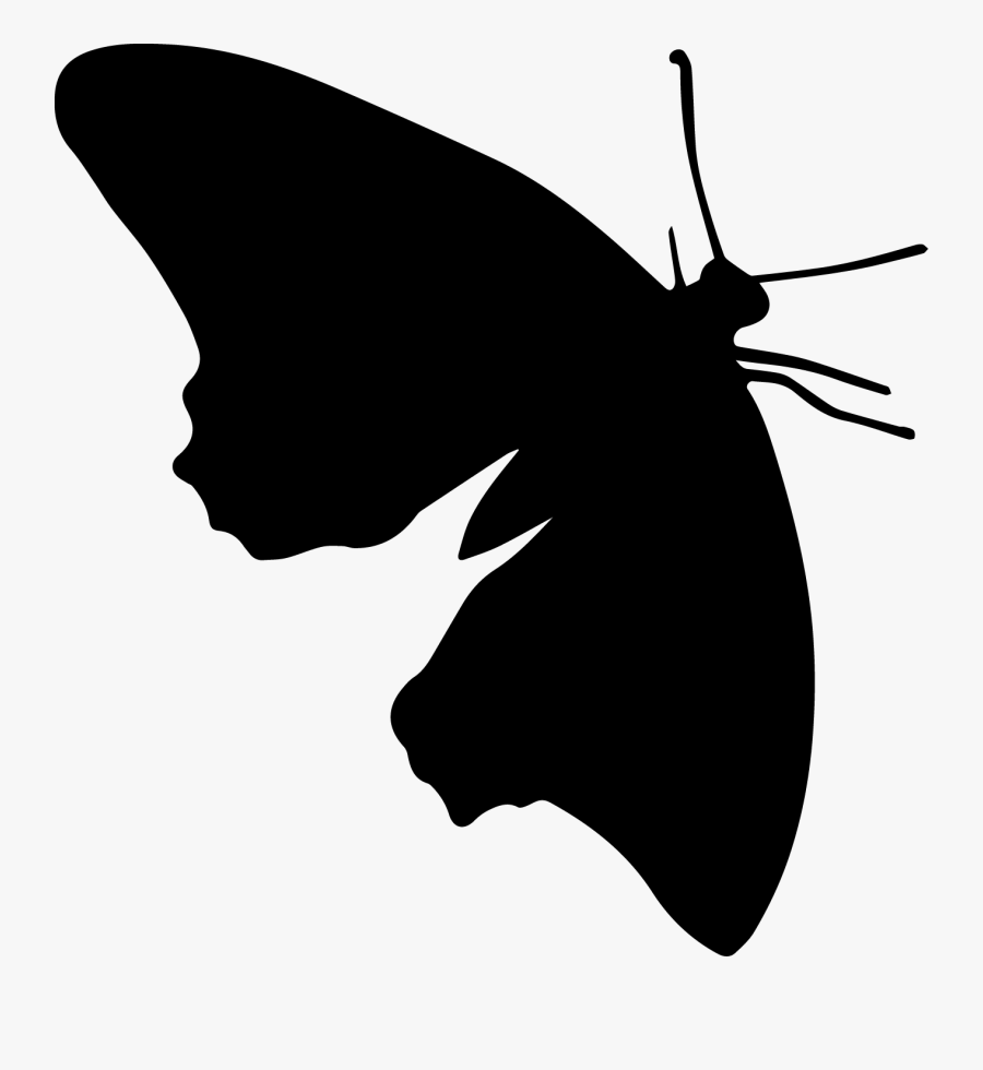 Butterfly, Transparent Clipart