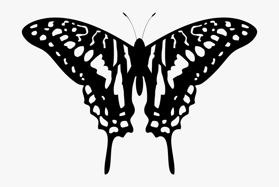 Butterfly Black And Yellow Png, Transparent Clipart