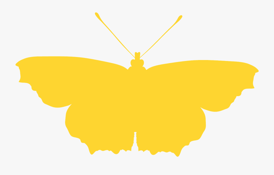 Pieridae, Transparent Clipart