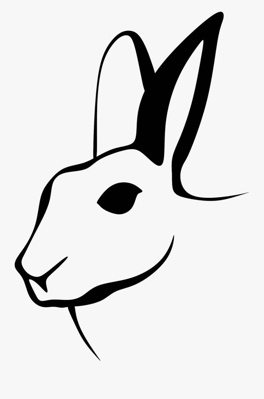 Animal Bunny Hare Free Picture - Rabbit Drawing Black And White, Transparent Clipart