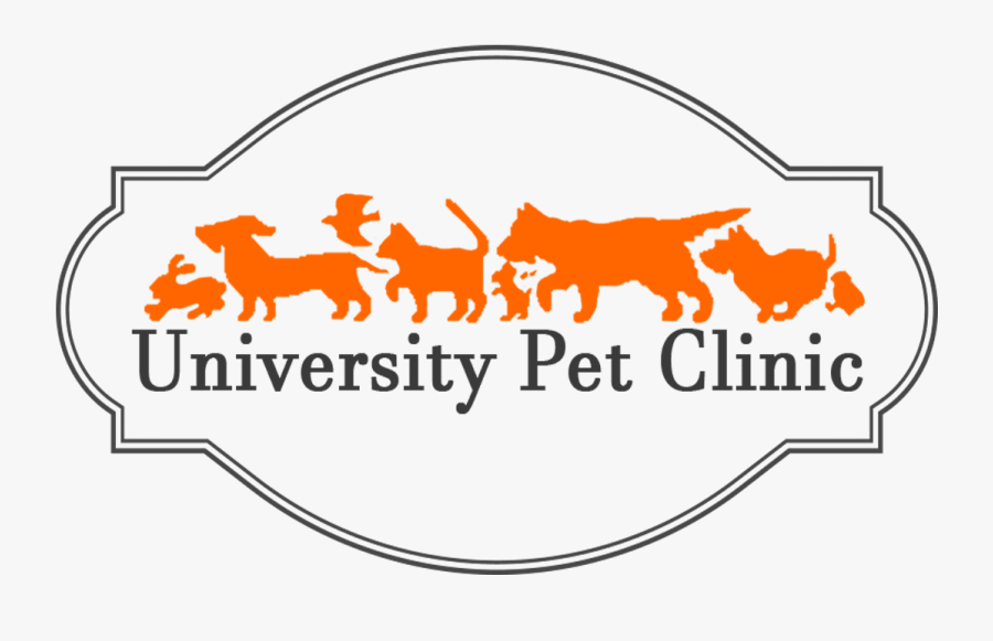 Silhouette, Transparent Clipart