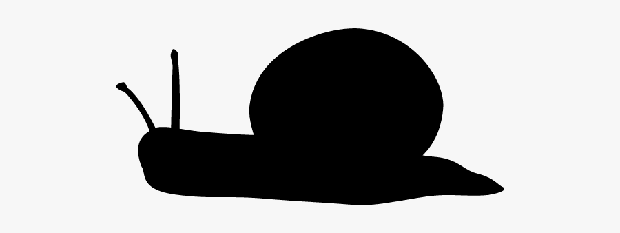 Snail, Transparent Clipart