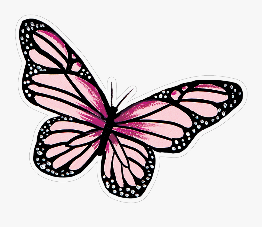 Butterfly - Butterfly To Print And Cut, Transparent Clipart