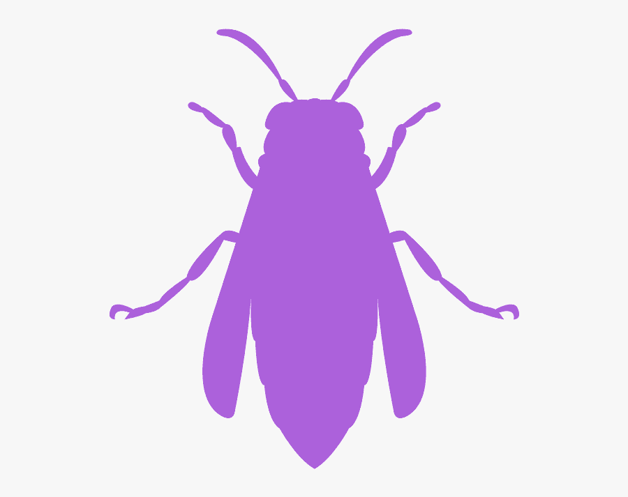 Pest, Transparent Clipart
