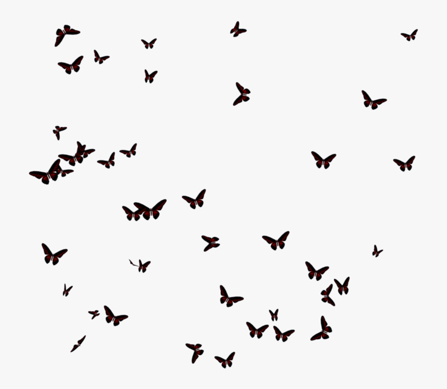 #ftestickers #butterfly #silhouette - Transparent Black Butterfly Png, Transparent Clipart