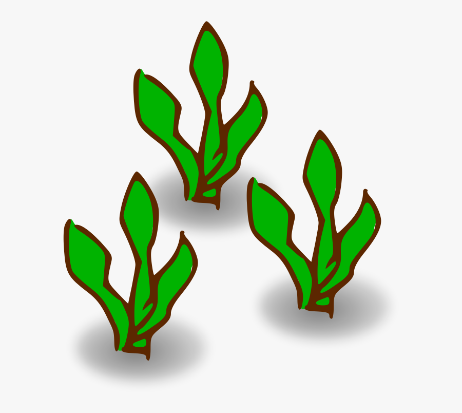 Kelp Forest Heavy - Kelp Clipart, Transparent Clipart