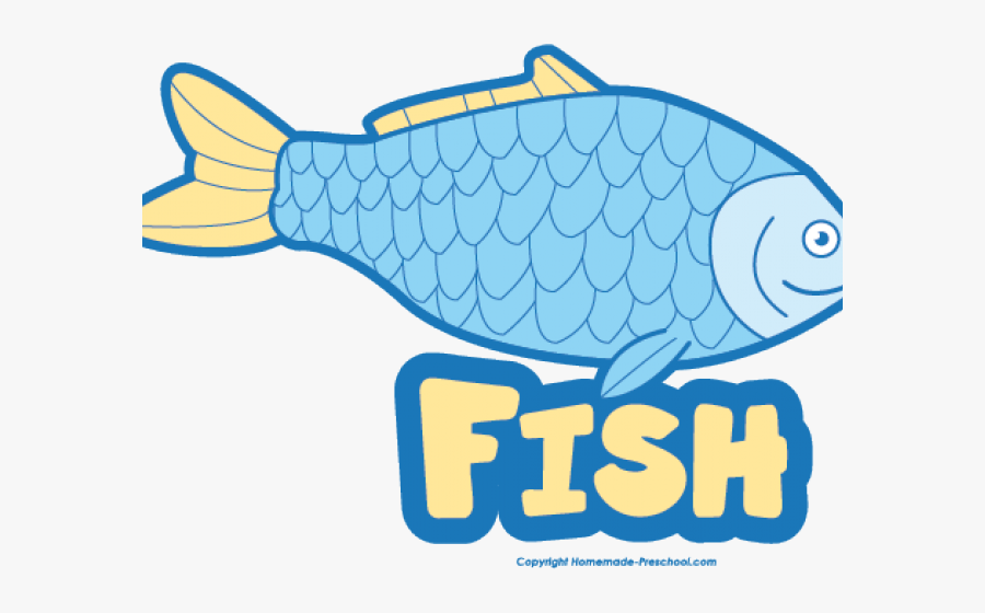 Coral Reef Fish, Transparent Clipart