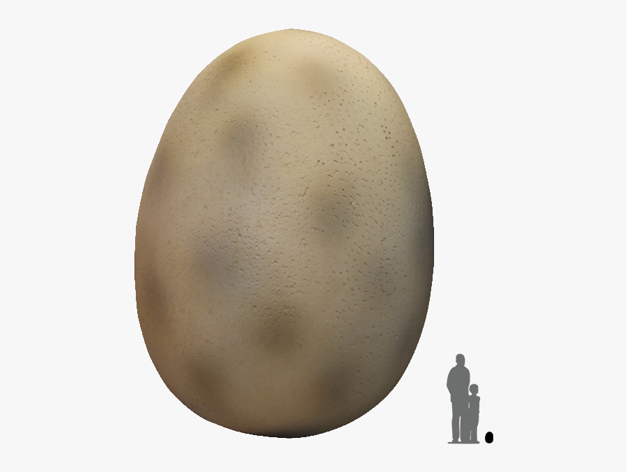 Dinosaur Egg Png Transparent, Transparent Clipart