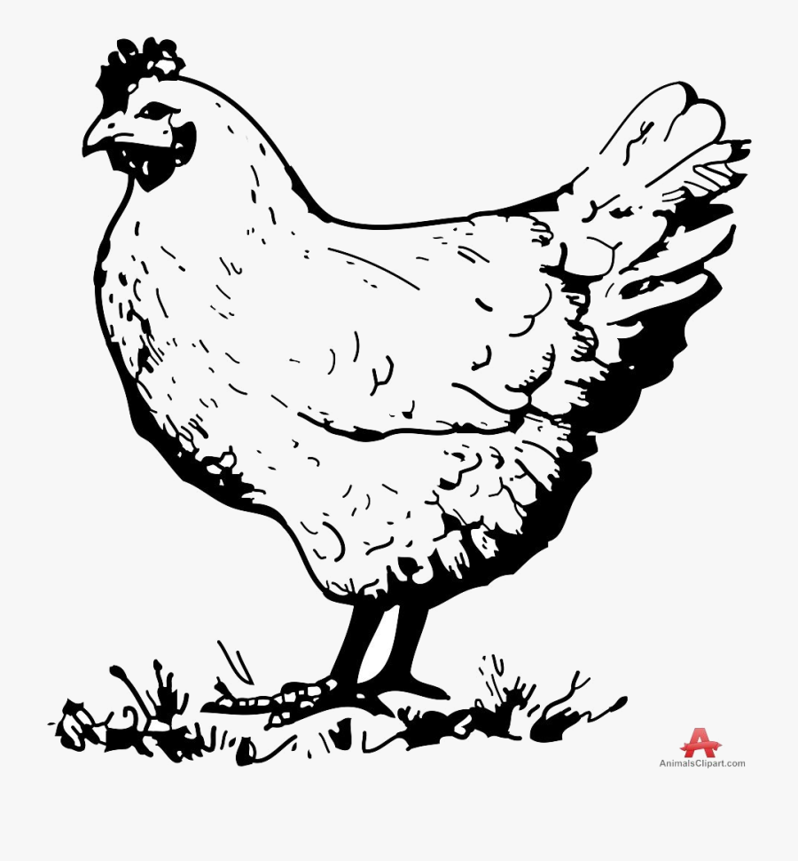 Chicken Vintage Clipart Black And White Clipartfox - Chicken Clip Art Black And White, Transparent Clipart
