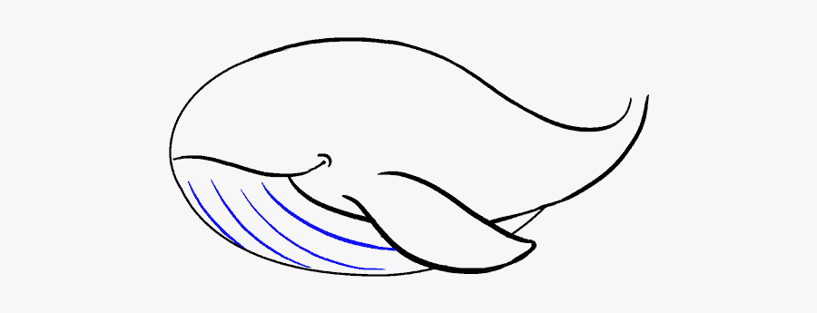 How To Draw Whale, Transparent Clipart