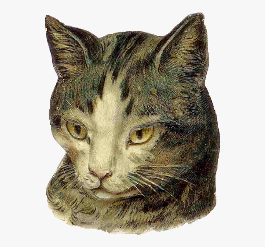 Victorian Cat, Transparent Clipart