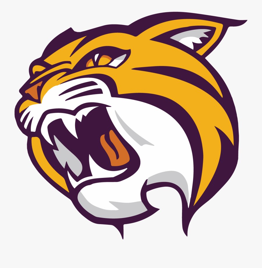 Wildcat - Wild Rose Wildcats Logo, Transparent Clipart