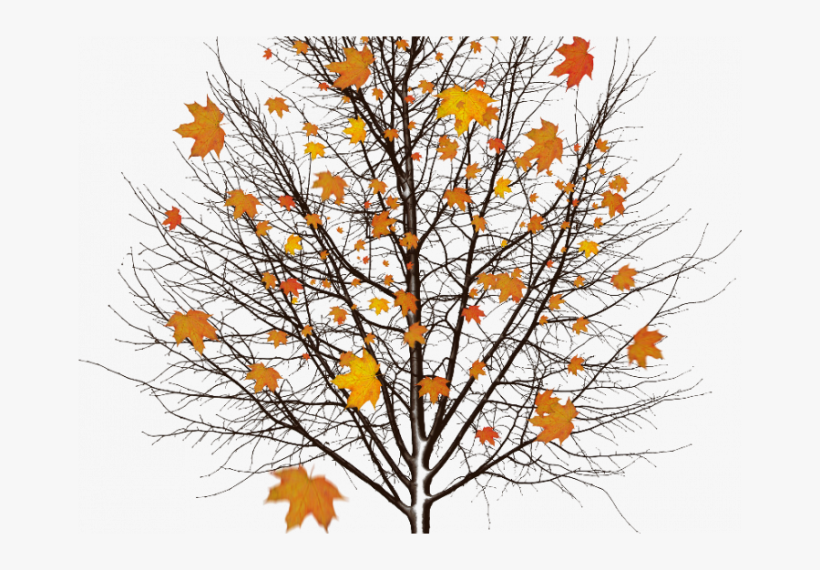 Cut Out Trees Winter, Transparent Clipart