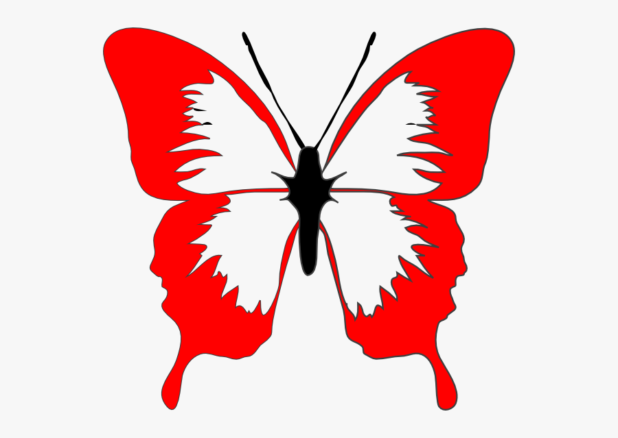 Butterfly Images Black And White Outline, Transparent Clipart