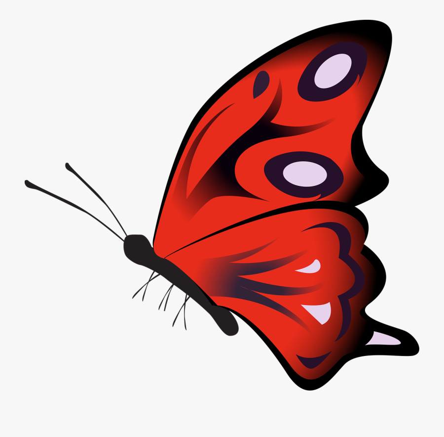 Featured image of post Blue Butterfly Gif Png Pngkit selects 1663 hd butterfly png images for free download