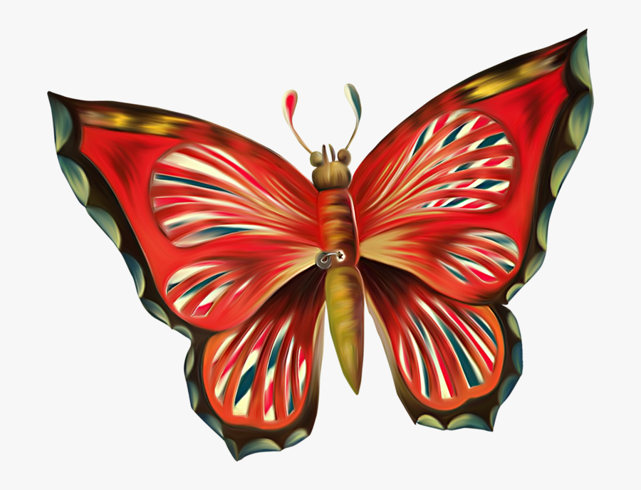 Lepidoptera, Transparent Clipart