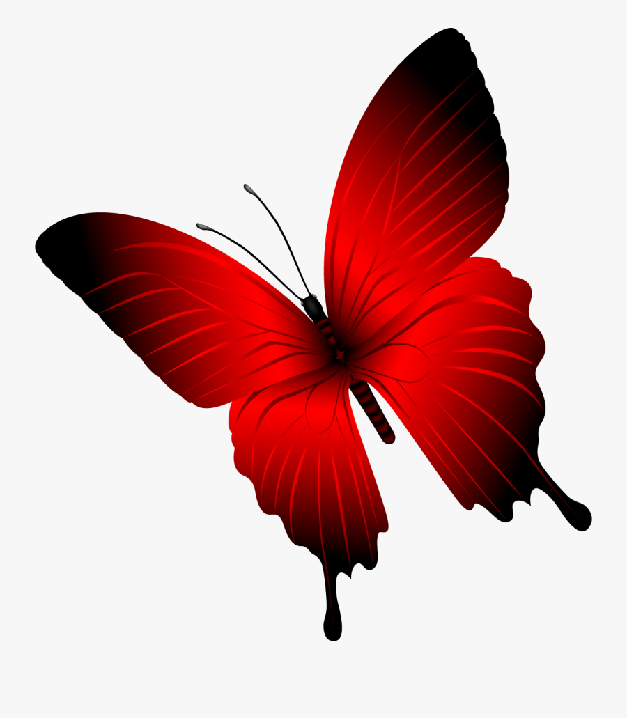 Butterfly, Transparent Clipart