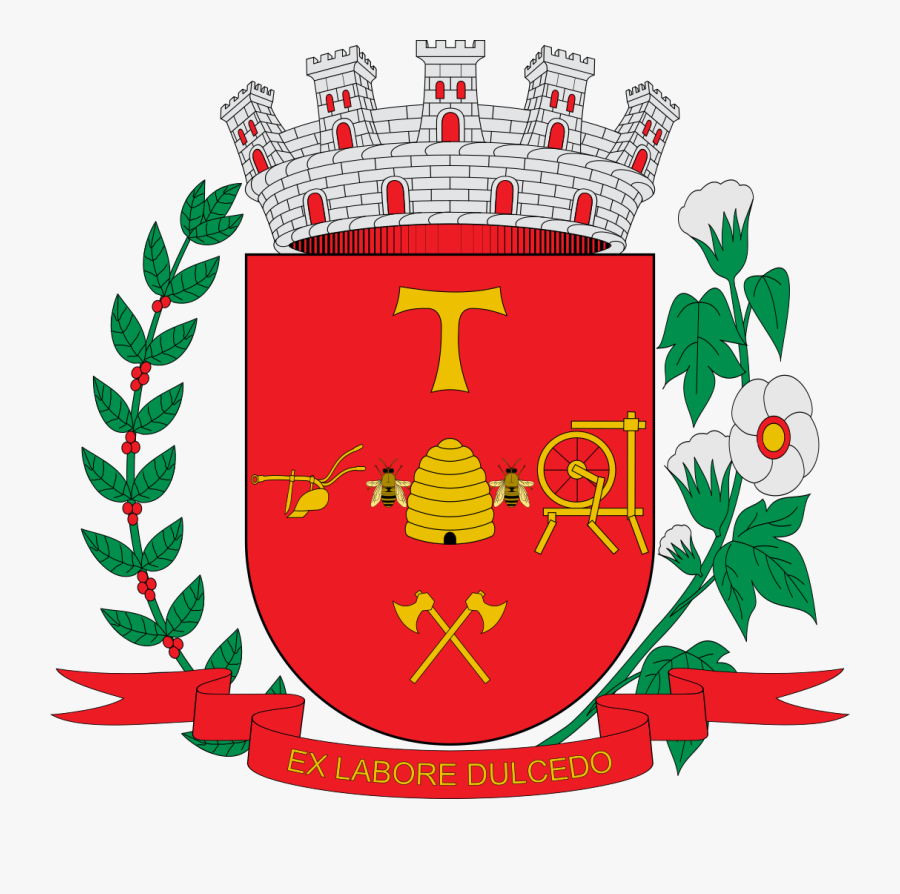 Bandeira Do Municipio De Americana, Transparent Clipart