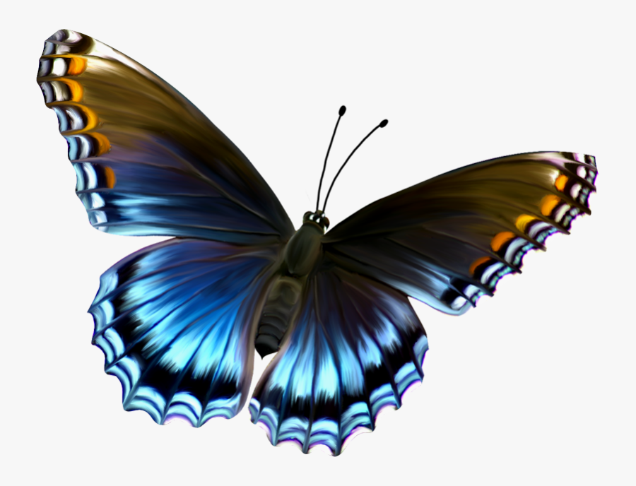Beautiful Blue And Brown Butterfly Png Clipart - Butterfly Png Free Download, Transparent Clipart
