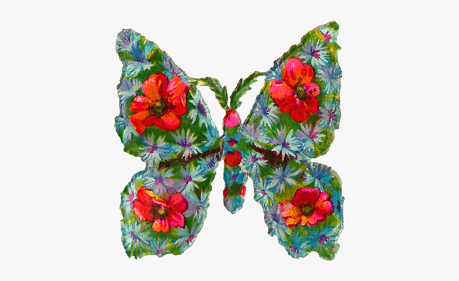 Impatiens, Transparent Clipart