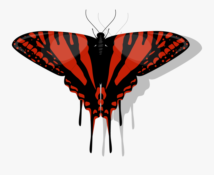 Papilio, Transparent Clipart