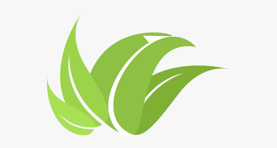 Environment Vector Transparent - Graphic Design, Transparent Clipart