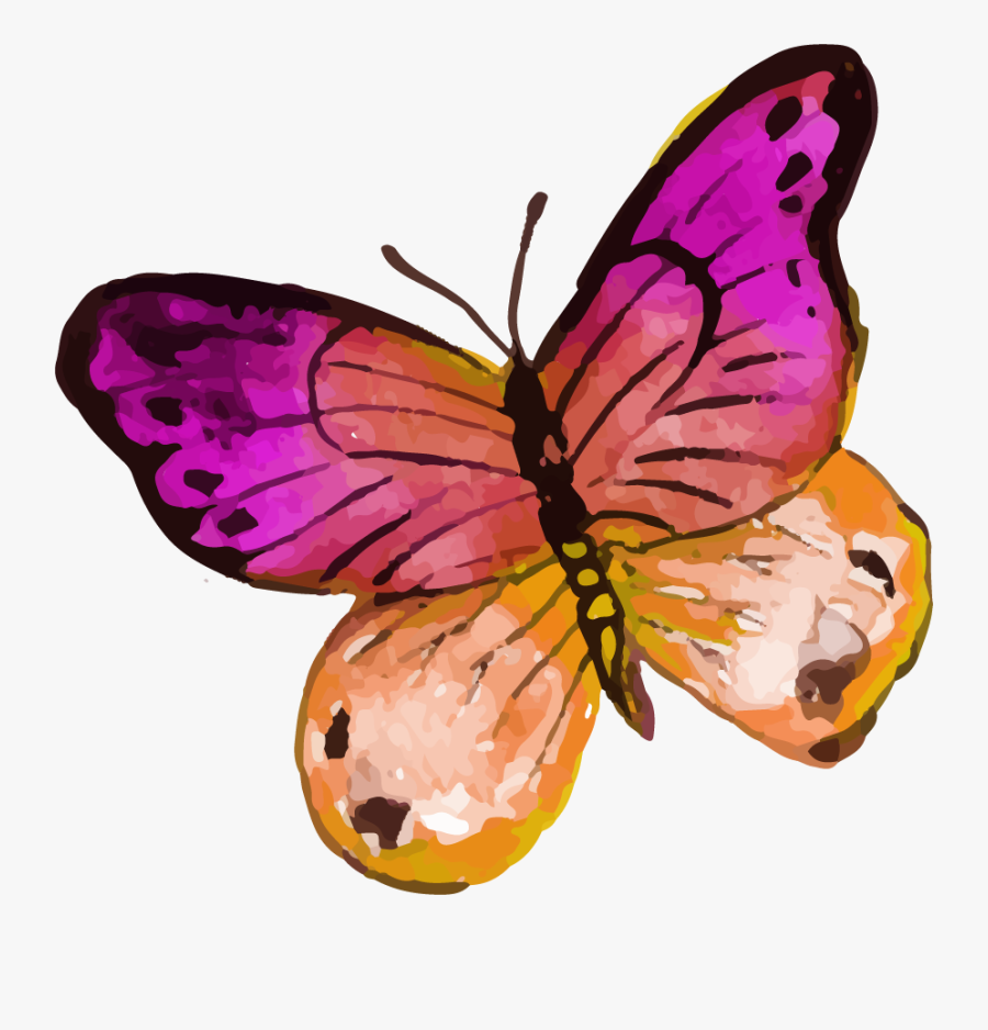 Brush-footed Butterfly, Transparent Clipart