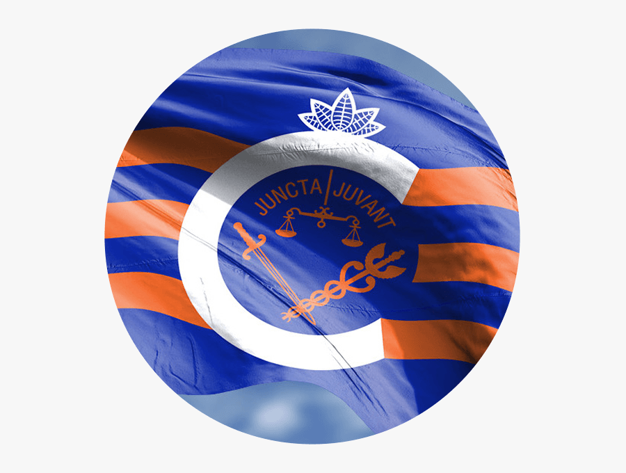 Circle, Transparent Clipart