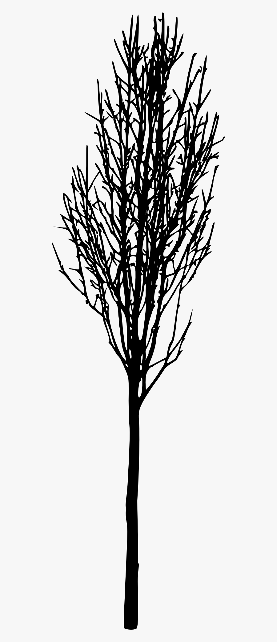 Tree With Roots Silhouette Png - Silhouette, Transparent Clipart