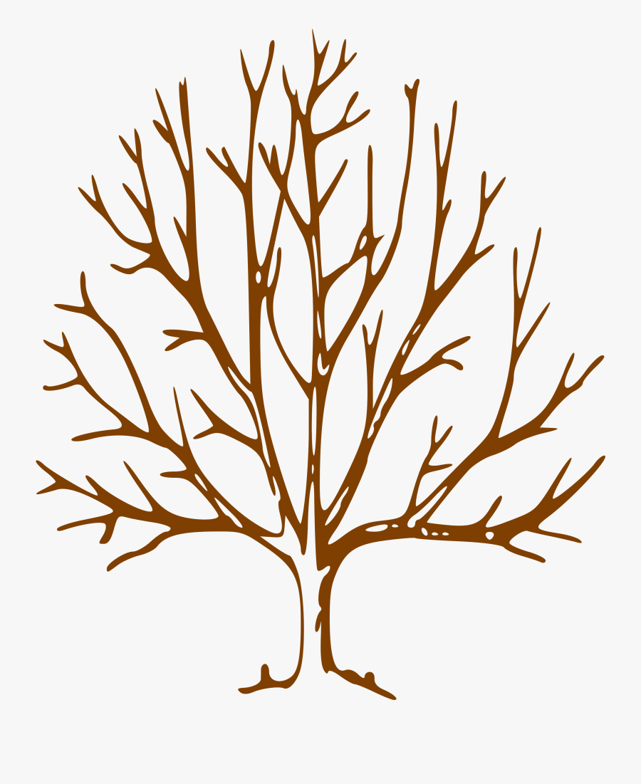 Simple Bare Tree Clipart Image Info - Tree Drawing With Branches, Transparent Clipart