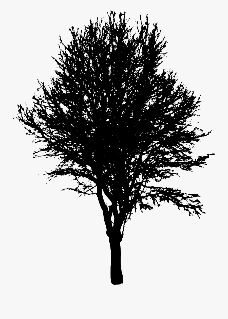 45 Tree Silhouettes Png Transparent Background - Transparent Silhouette Tree Png, Transparent Clipart