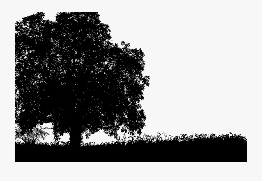Tree, Silhouette, Landscape, Trees, Branches, Nature - Anziehung Zwischen Zwei Menschen, Transparent Clipart