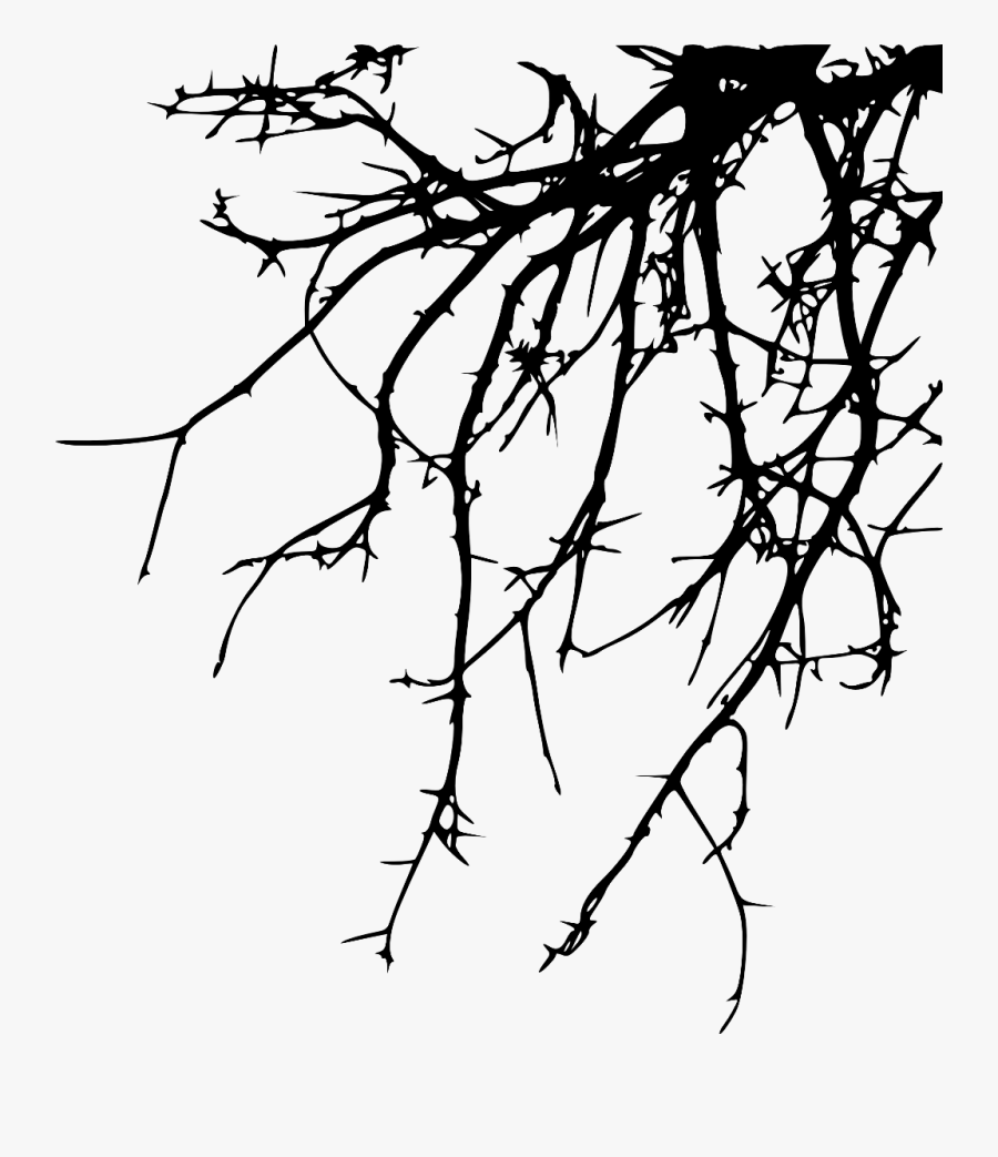 #freetoedit #tree #branch #silhouette #4trueartists - Silhouette Png Branch Clip Art, Transparent Clipart